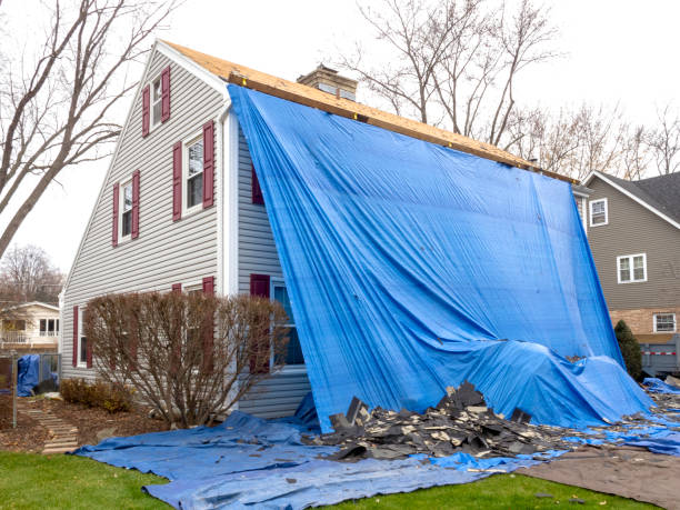 Best Yard Waste Removal  in Brewster, NY